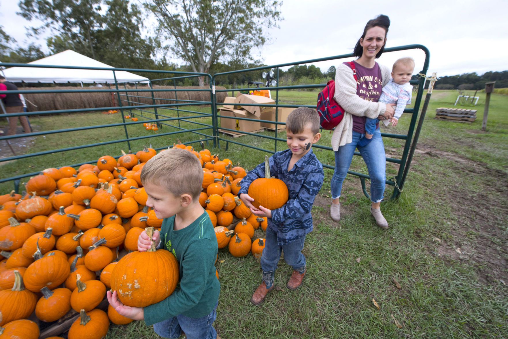 BR.cornmaze.102719 TS 201.jpg
